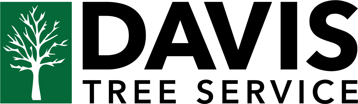 davis tree service
