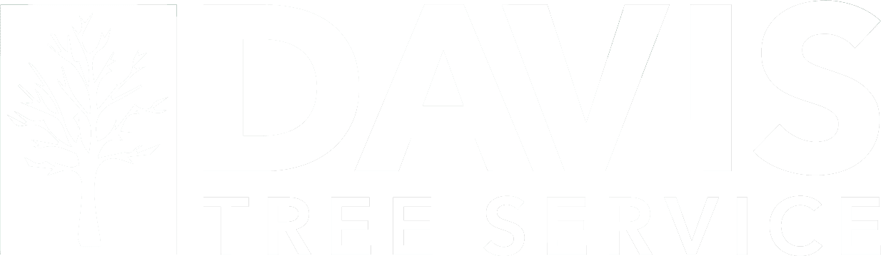 davis tree service white